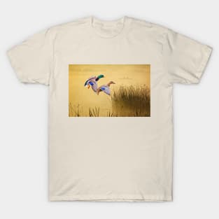 Male and Female Mallard Ducks T-Shirt